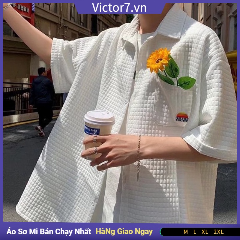 Áo Sơ Mi Màu Trơn Tay Ngắn Thời Trang Dành Cho Nam Simple BáNh Quế áO Thun Unisex Có Cổ Phong CáCh HàN QuốC Solid Color Plus Size QuầN áO Nam