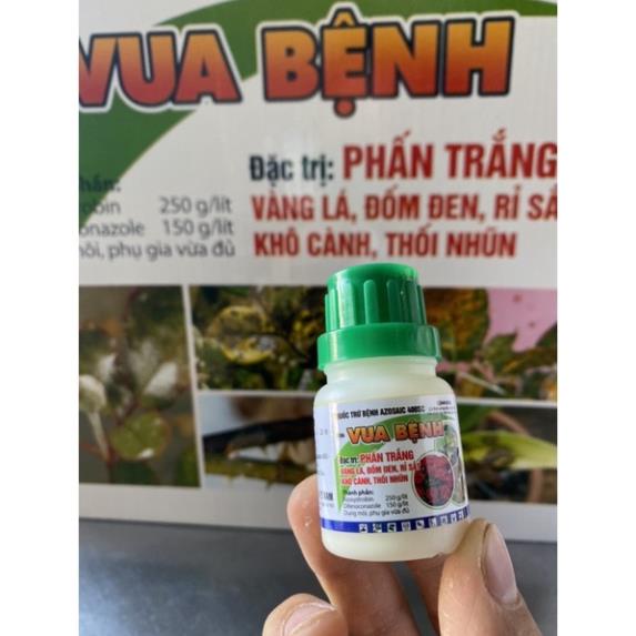 Vua bệnh (chai 15ml) chuyên trị bệnh phấn trắng rỉ sắt vàng lá thối nhũn cho cây hoa Hồng hoa Lan &amp; cây kiểng