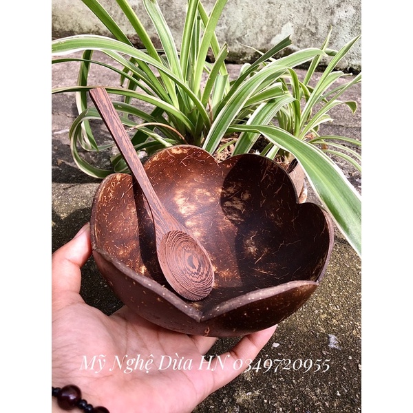 Bát Gáo Dừa Cánh Hoa/ Hàng Đẹp/Combo Bát + Thìa Gỗ Mun