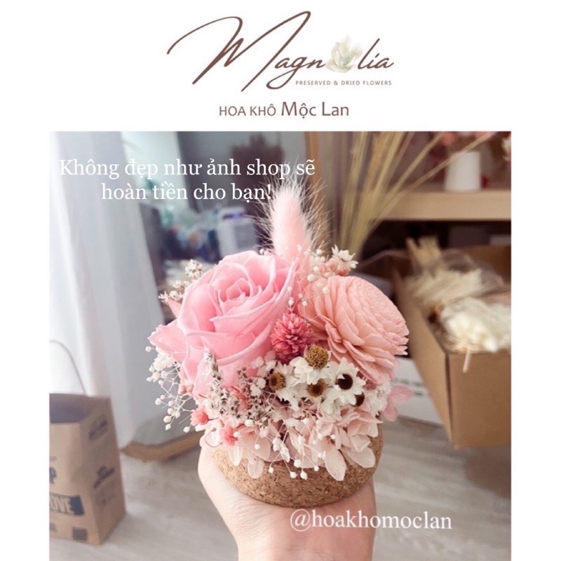 Chụp thuỷ tinh hoa hồng khô bất tử không tàn *HOA KHÔ MỘC LAN*