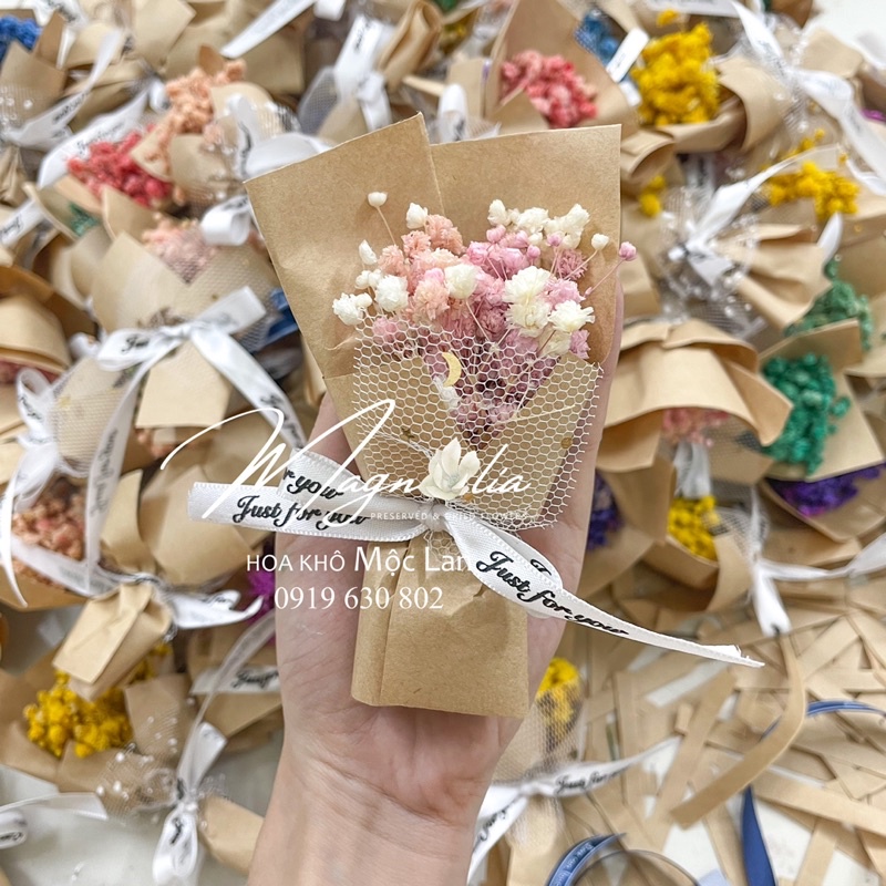 Bó hoa baby mini màu sắc random