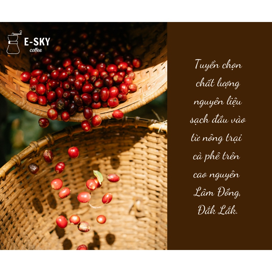 Cà Phê Robusta E-sky Coffee Cafe Nguyên Chất Pha Phin Pha Máy Cold Brew 250g