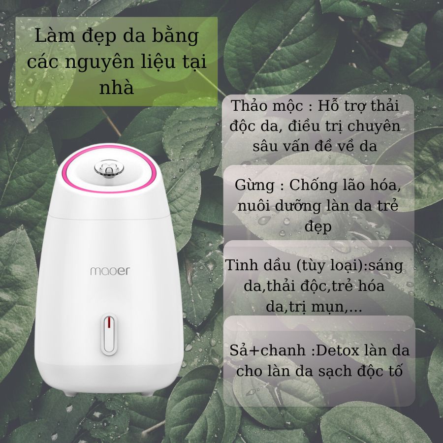 Máy Xông Mặt Thảo Dược Đa Năng Maoer Xông Mặt Mũi Họng Thải Độc Tố Ngừa Vi Khuẩn Cấp Ẩm Hỗ Trợ Da Mịn Màng Căng Bóng