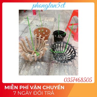 Que nẹp - kep chậu giữ lan dài 28-30cm