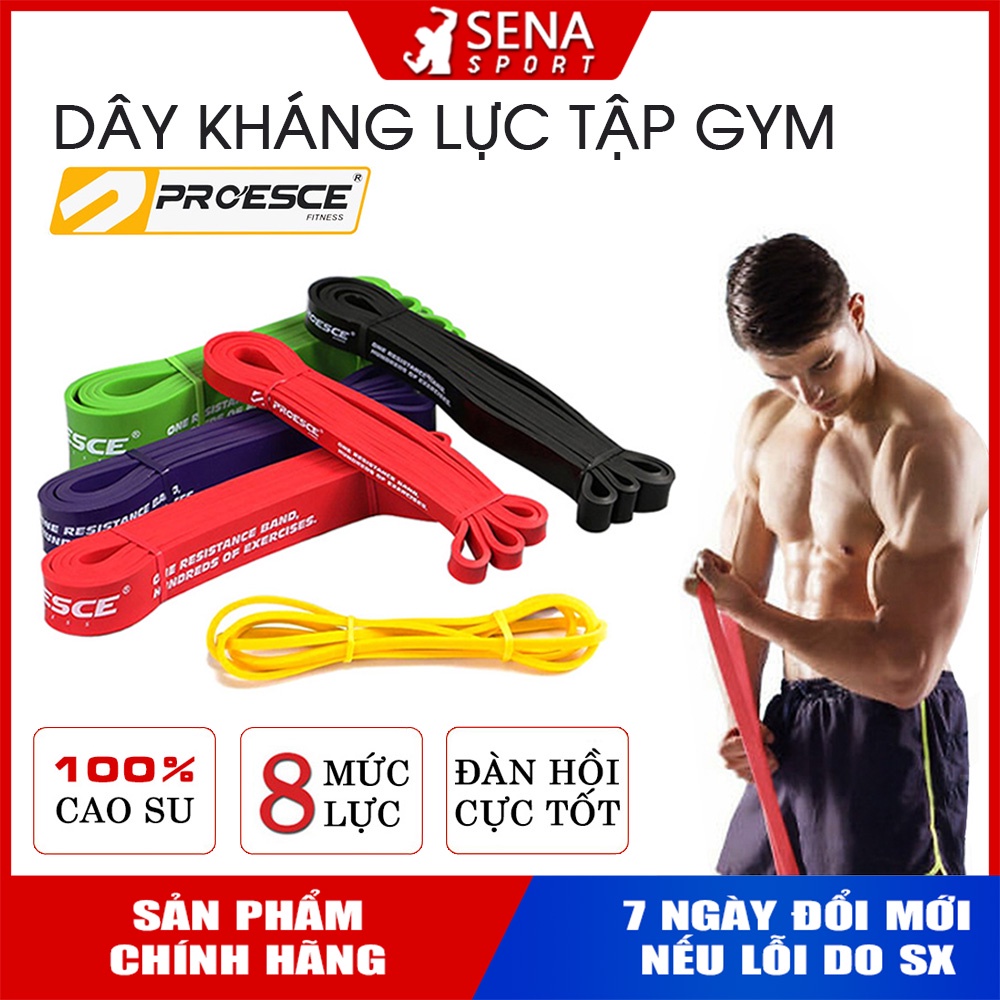 DÂY CAO SU KHÁNG LỰC HỖ TRỢ TẬP GYM TOÀN THÂN - CHÍNH HÃNG PROESCE
