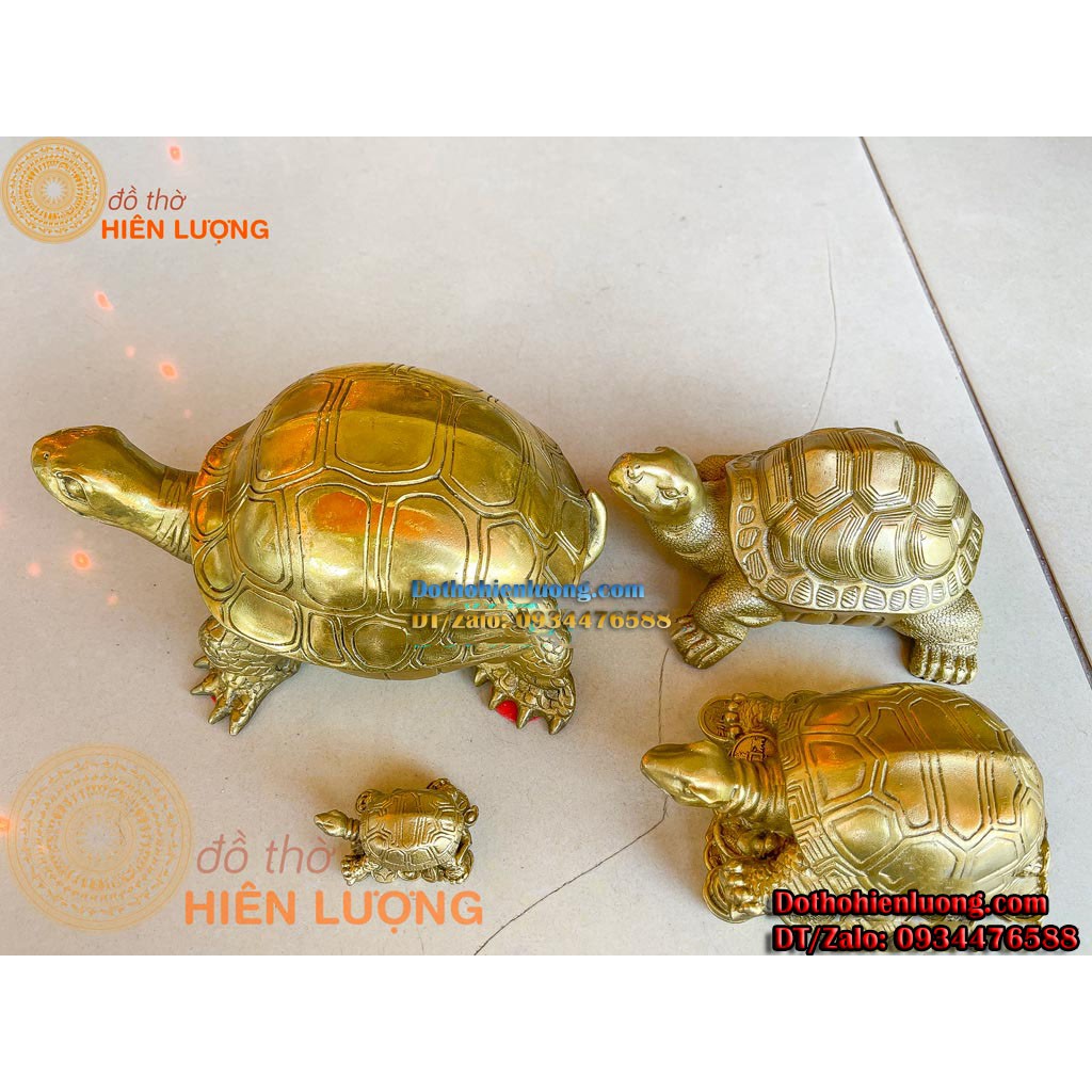 Tượng Kim Quy  Màu Vàng Bằng Đồng Nguyên Chất Các Cỡ
