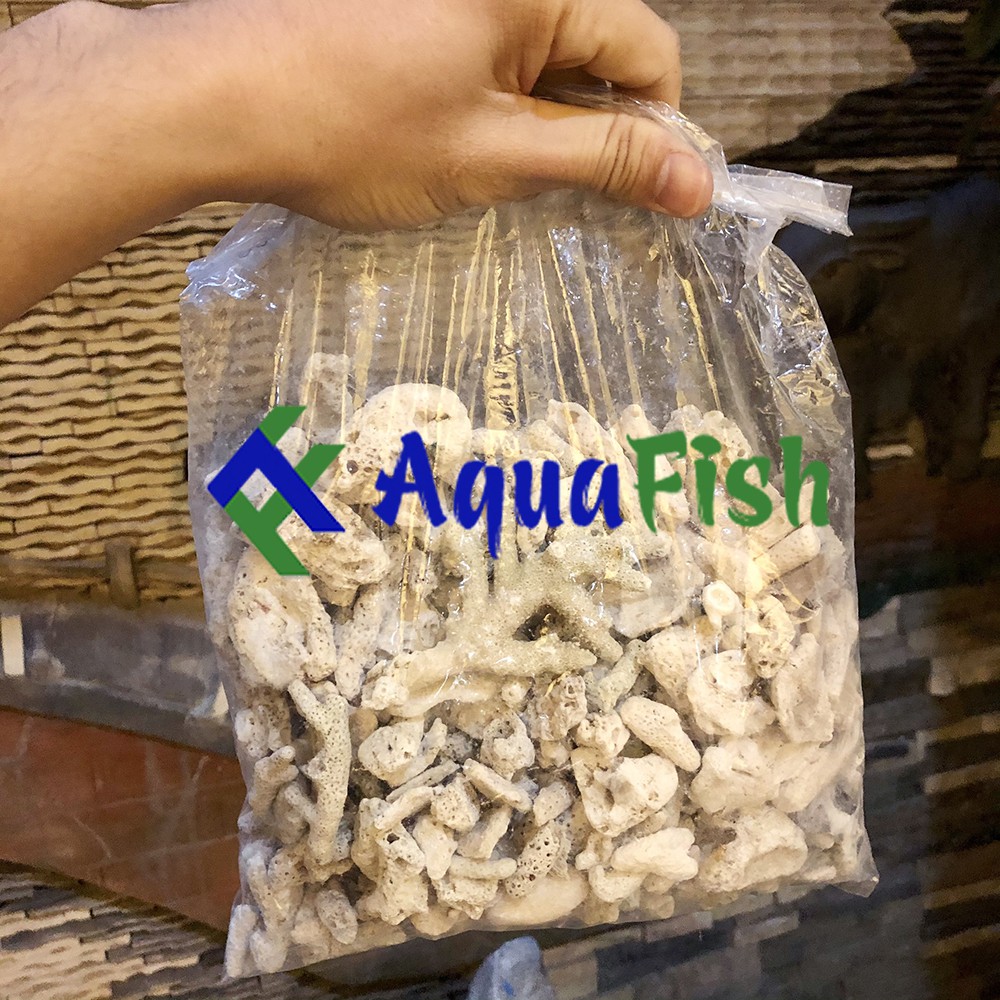 San Hô Vụn 1kg Dùng Cho Lọc Nước Bể Cá, Hồ Cá Koi