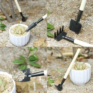Bộ dụng cụ làm vườn mini