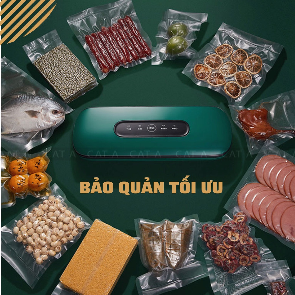 Máy hút chân không bảo quản thực phẩm ZK-3002, công suất 130W, lực hút mạnh mẽ - Tặng kèm 10 túi bảo quản - Bh 6 tháng