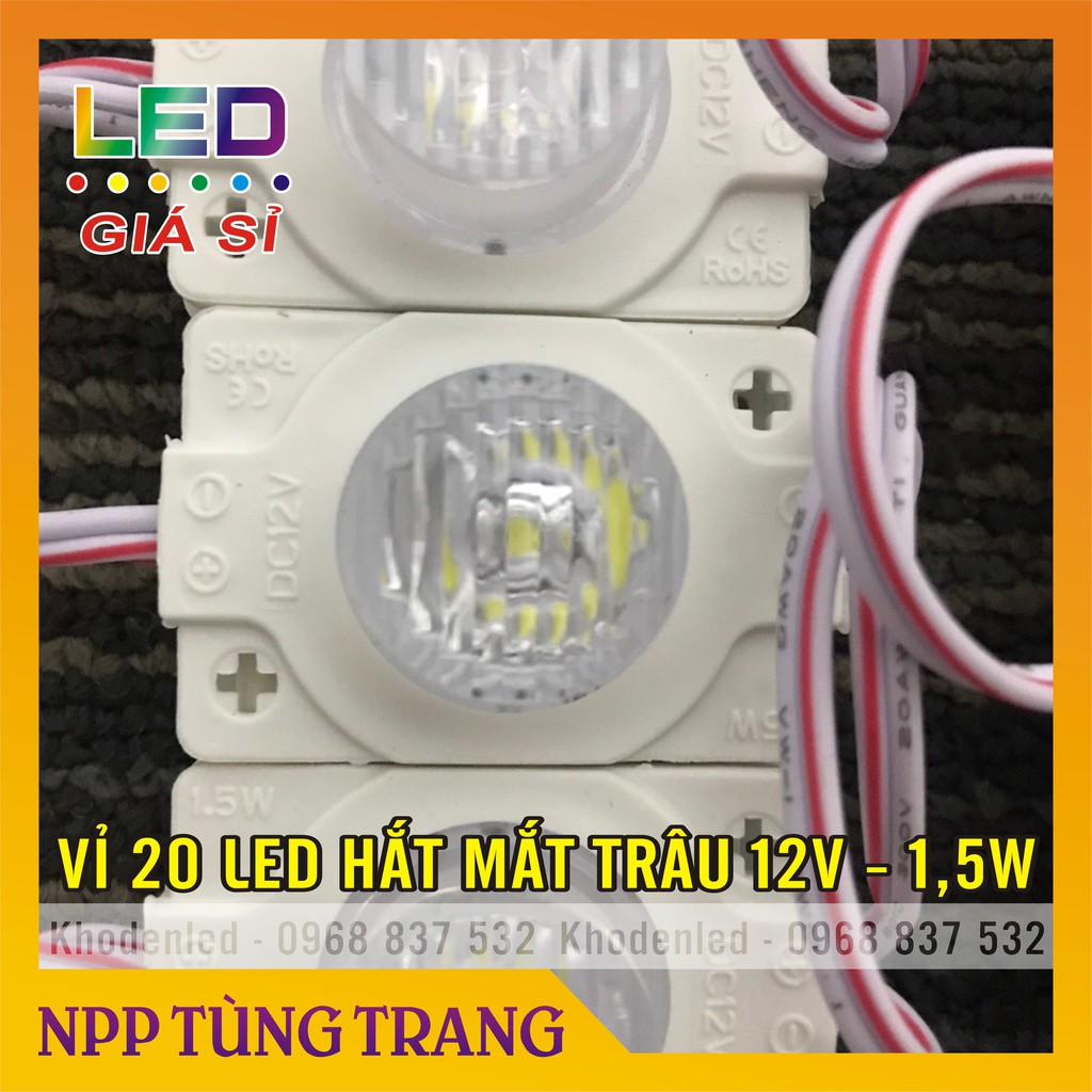 Vỉ 20 bóng led rọi mắt trâu 12V - 1,5W ánh sáng trắng, vàng