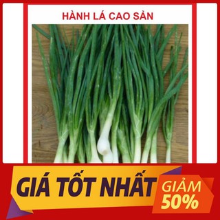 hạt giống cây hành lá cao sản (2gr)