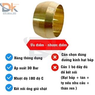 Hạt Bắp Đồng- Bắp ống đồng
