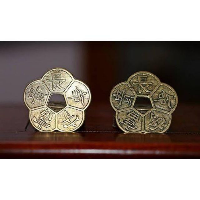 Đồng Hoa Mai Kim Tiền Loại To ĐK 6cm (sỉ 9k) | BigBuy360 - bigbuy360.vn