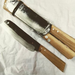 Dao bài thái đa sỹ