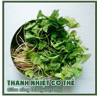 1KG BỘT RAU MÁ NGUYÊN CHẤT 100%