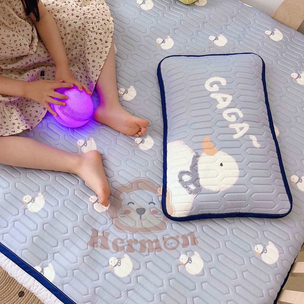Chiếu Điều Hòa Hermon Kèm Gối Thảo Dược Trẻ Em, Chiếu Hè Thoáng Mát, Mềm Mại, Trải Cũi, Nôi Cho Bé Babibu - CDHH