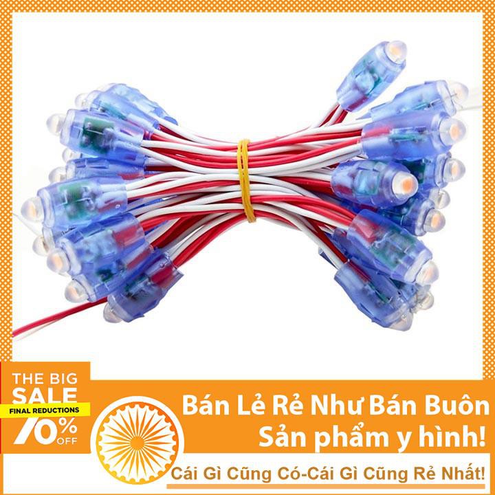 Dây 50 Led Đúc F5 - Bóng LED 5mm Đế 8mm Chống Nước Các Loại Màu