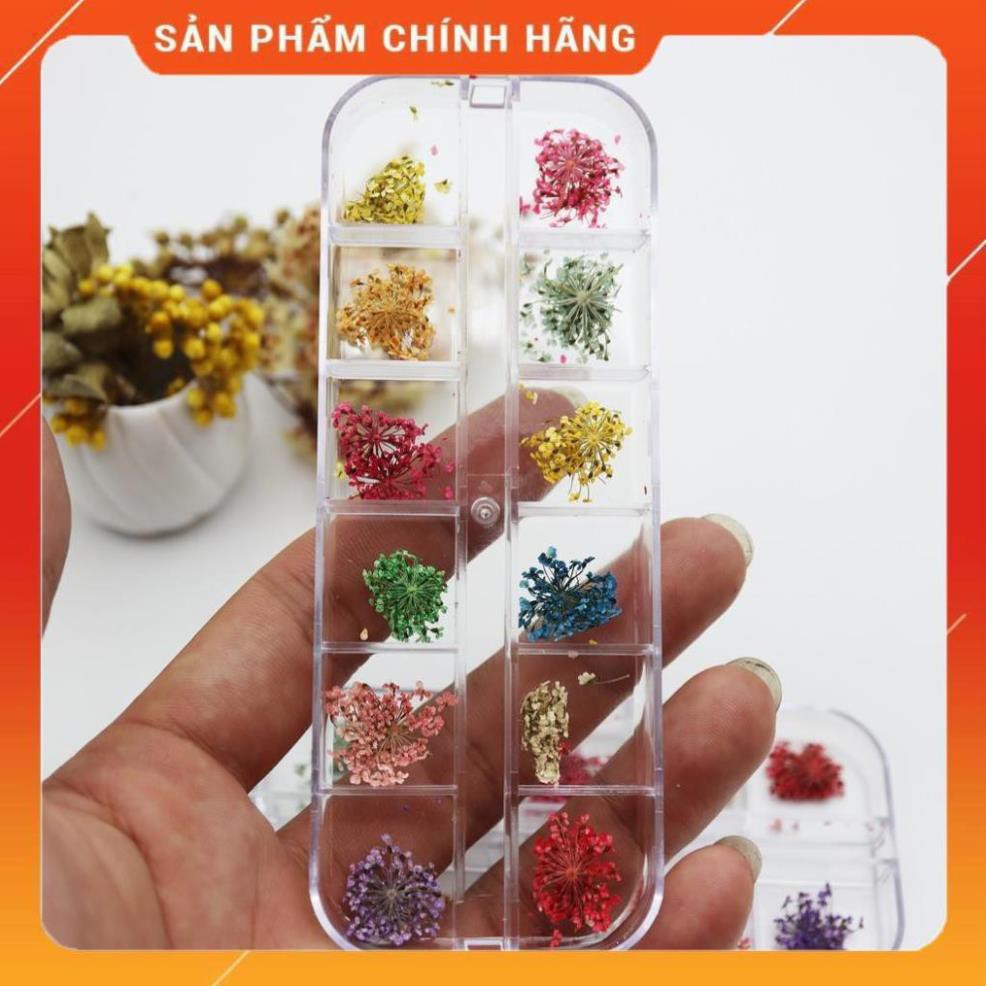 Hoa Khô Chùm, Trang Trí Móng Tay, 12 Màu - Phụ Kiện Nail Siêu Rẻ