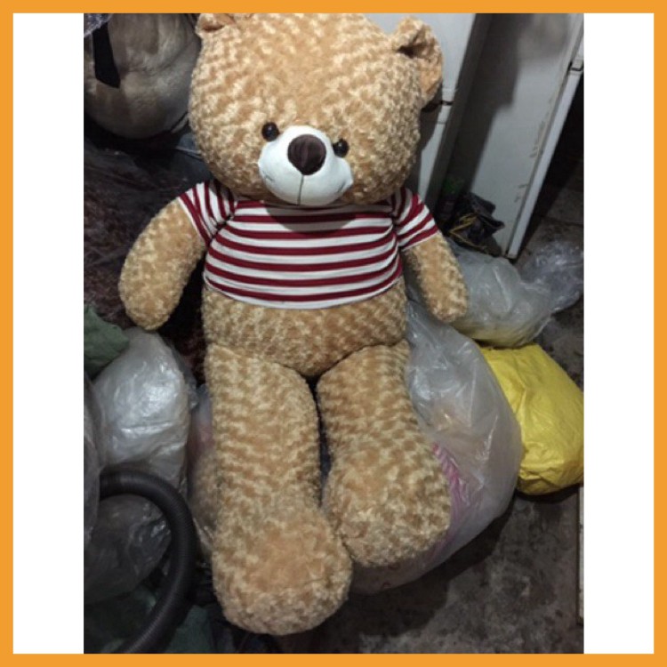 Gấu bông to teddy khổng lồ ôm ngủ cho người lớn kích thước 1m5 1m8