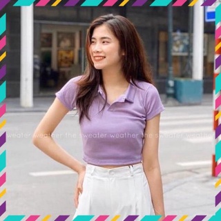 ÁO THUN CỔ POLO CROPTOP FORM BODY