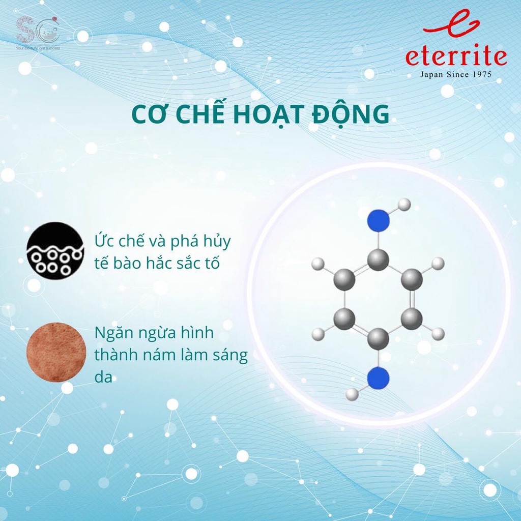 Sữa dưỡng làm sạch nám và trắng da ETERRITE 100ml