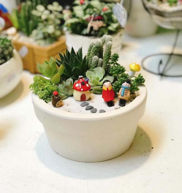 Nhà nấm trang trí tiểu cảnh terrarium