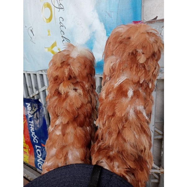 Chổi Lông Gà Thật Quét Bụi Dài 65cm Loại Tốt, Chổi Quét Bụi Size Lớn
