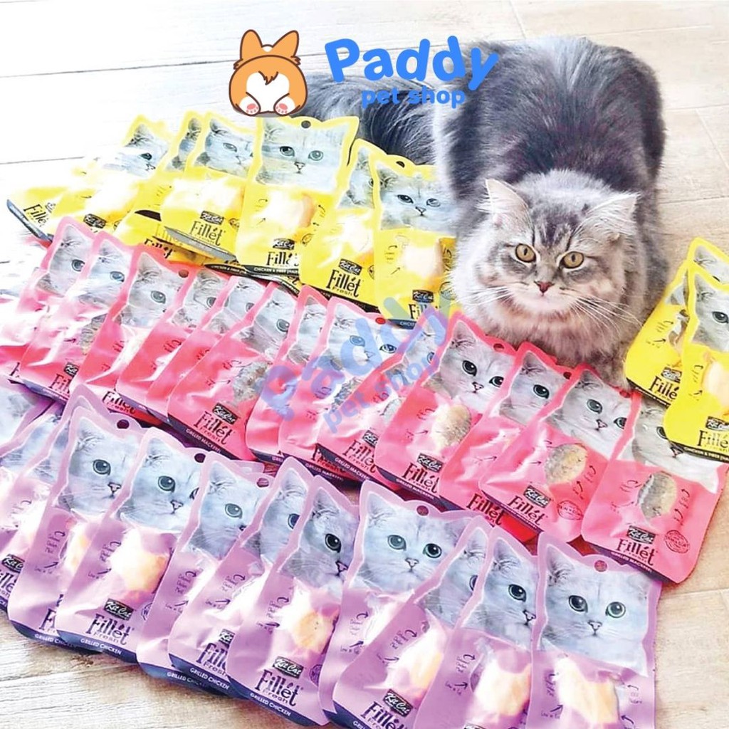 Snack Kit Cat Phi Lê Ngừa Búi Lông Cho Mèo 30g