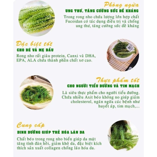Rong Nho Tách Nước YUKIBUDO Organic Và Rong Nho KHÁNH HÒA, Loại 25g/ túi | BigBuy360 - bigbuy360.vn