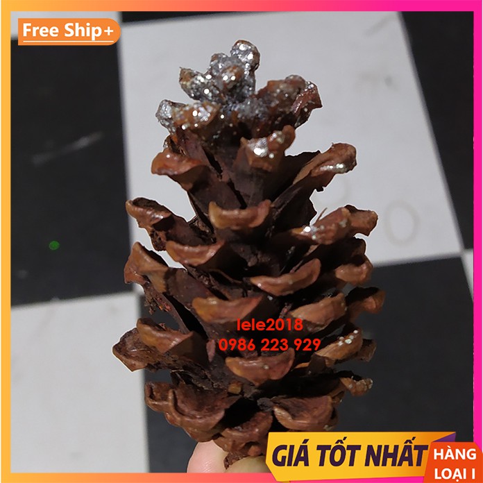 Quả thông trang trí cây thông noel và sự kiện giáng sinh