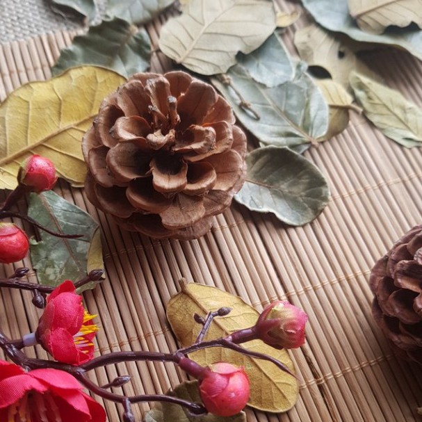 Set Trái Thông Tự Nhiên Nâu Vàng, Màu Nhũ, Lá Khô Vàng, Cành cây decor, Vòng treo trang trí