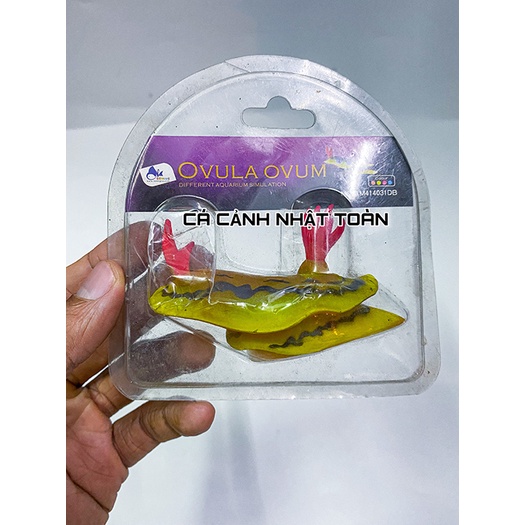 ÓC SÊN NHÂN TẠO TRANG TRÍ BỂ CÁ, TIỂU CẢNH 8CM
