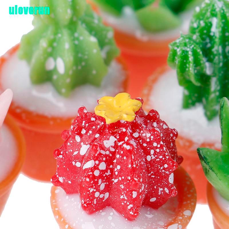 Bộ 5 Cây Xương Rồng Mini Bằng Nhựa Resin Dùng Trang Trí Tiểu Cảnh DIY
