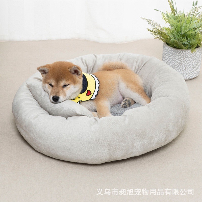 🍑🥬NỆM NẰM CHO CHÓ MÈO SIÊU XINH🥑🥦