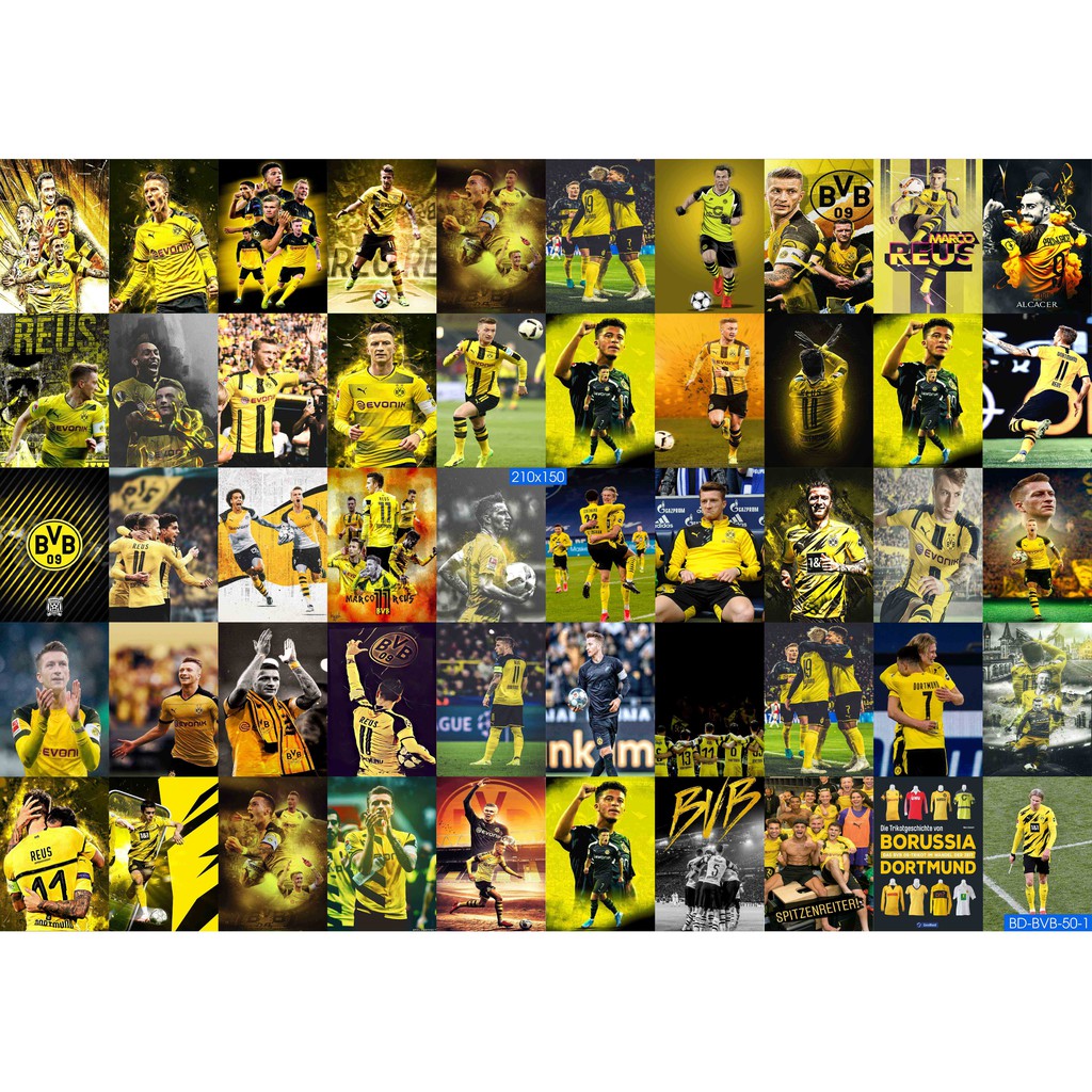 Combo Set 50 tờ Decal dán tường đội bóng  Borussia Dortmund BVB