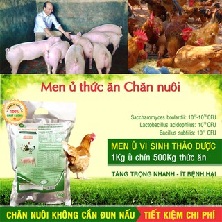 Men ủ vi sinh thảo dược - Ủ chín thức ăn chăn nuôi