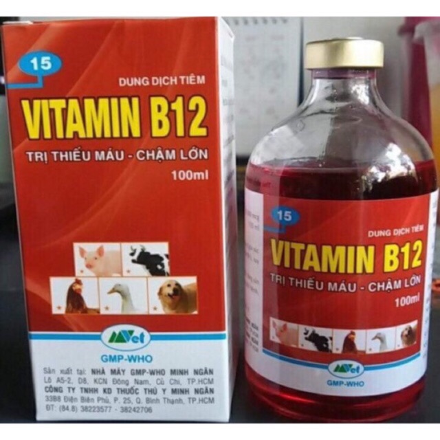 Vitamin B12 dung tích 100ml