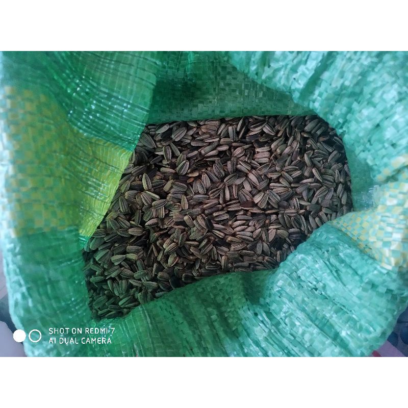 Hướng dương hạt nhỏ 500g