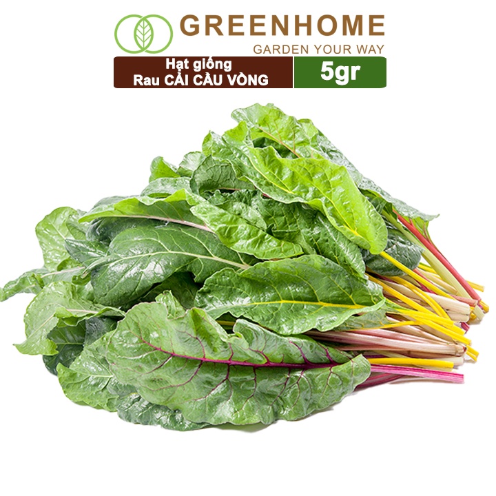 Hạt giống rau Cải cầu vồng Greenhome, gói 5gr, sinh trưởng mạnh, năng suất cao R06
