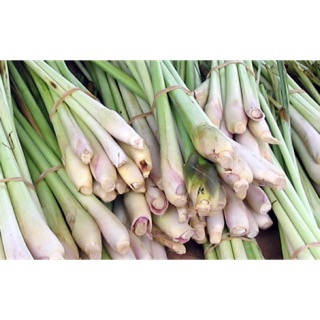 Củ sả khô 100g