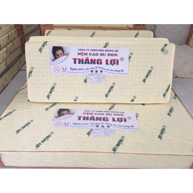 Nệm cao su non Thắng lợi gấp 3 (1m2×2m×10cm)