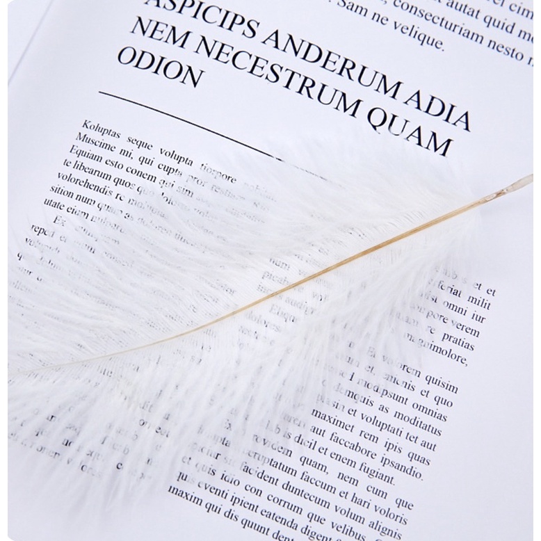 Lông vũ chụp ảnh(sét 2 cái)