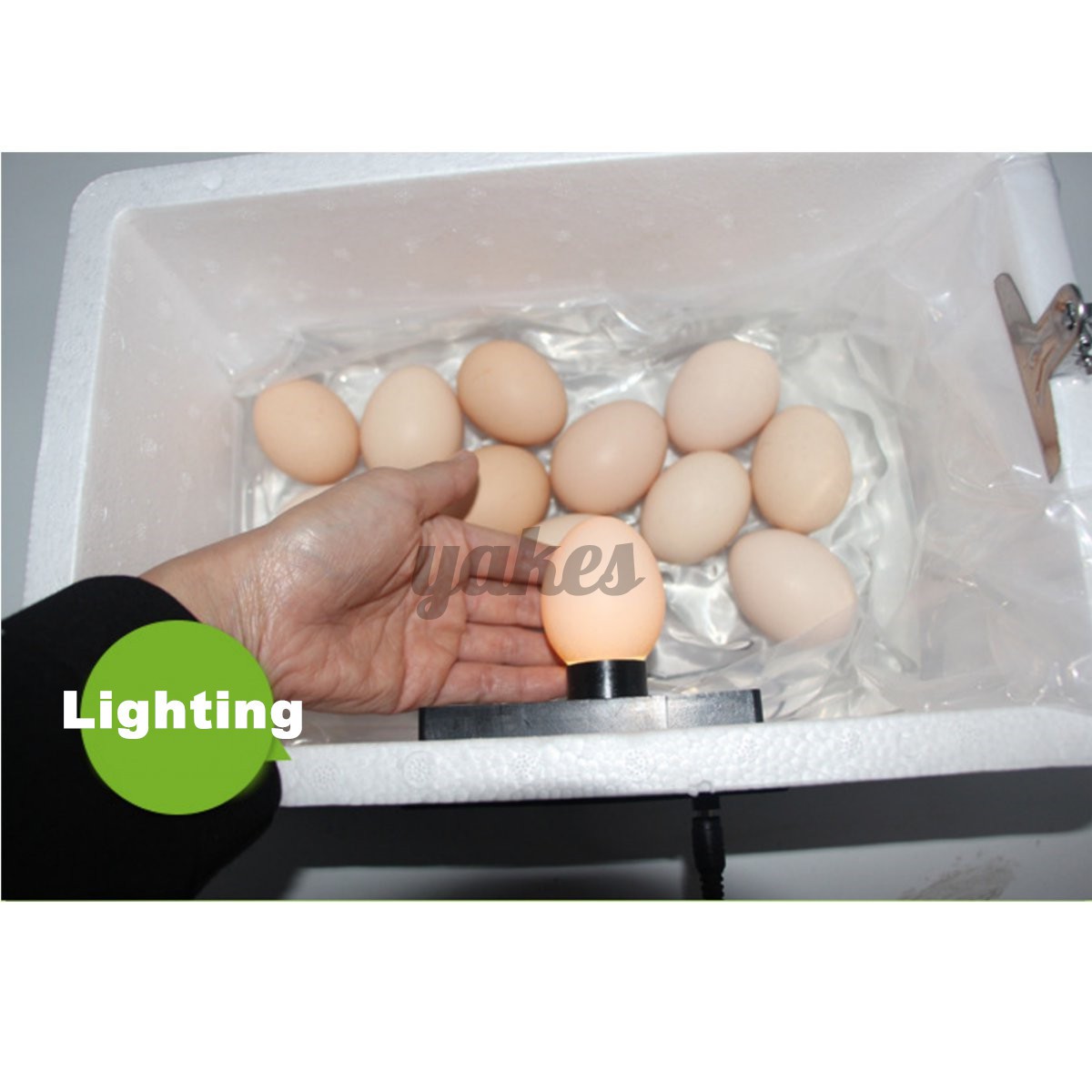 Máy ấp trứng kỹ thuật số tự động 22 Trứng kiểm soát nhiệt độ thông minh tiện dụng