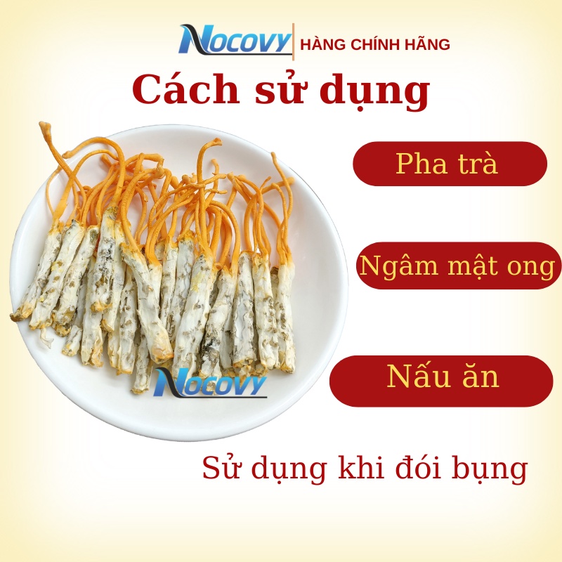 Đông trùng hạ thảo khô nguyên con ký chủ sâu tằm NOCOVY sấy thăng hoa dược chất siêu vượt trội phòng u.ng th.ư