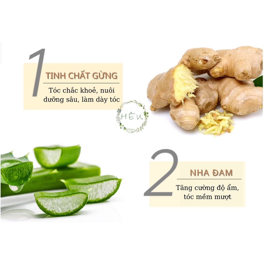 Dầu gội gừng See Young không chứa silicon sạch gàu, tóc bóng khoẻ