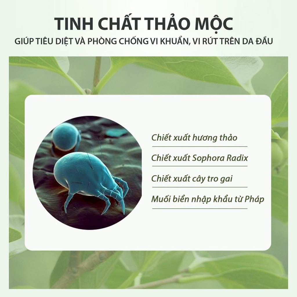 Dầu gội nước hoa muối biển Five Grains 500ml, VANCY