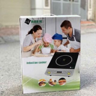 Bếp điện từ đơn Arber AB300