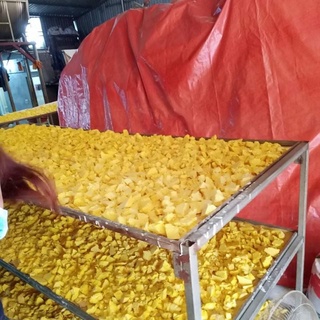 Nghệ Vàng Tinh, 500gram