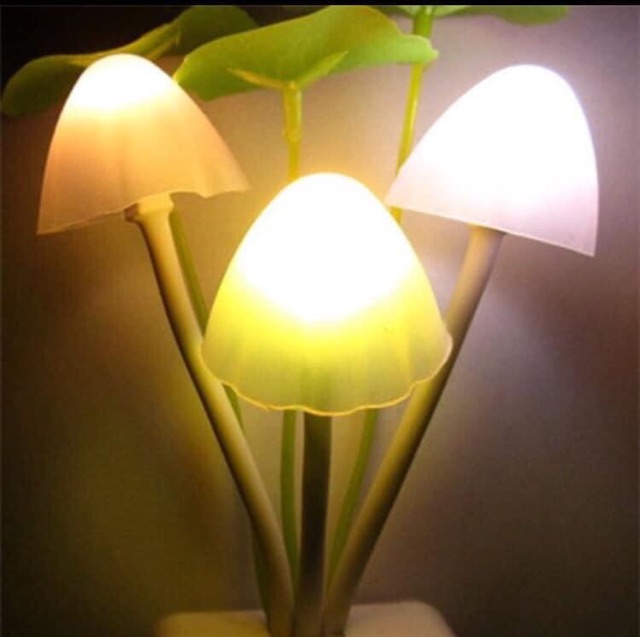 Đèn ngủ cây nấm cảm ứng