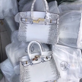 Túi HM bạch tạng